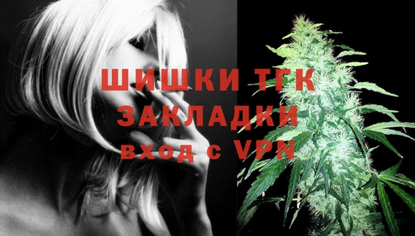 хмурый Белокуриха
