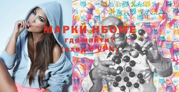 хмурый Белокуриха