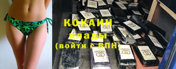 хмурый Белокуриха