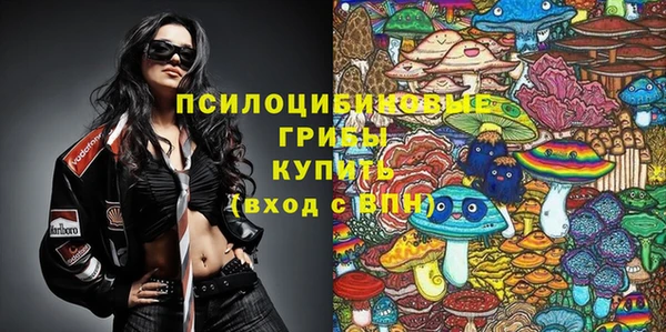 хмурый Белокуриха