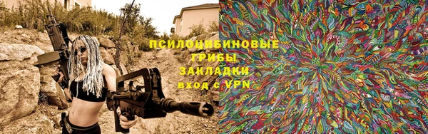 дживик Белоозёрский