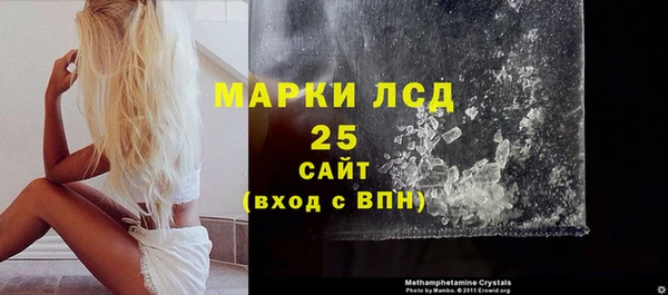 хмурый Белокуриха