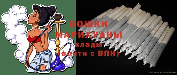 хмурый Белокуриха