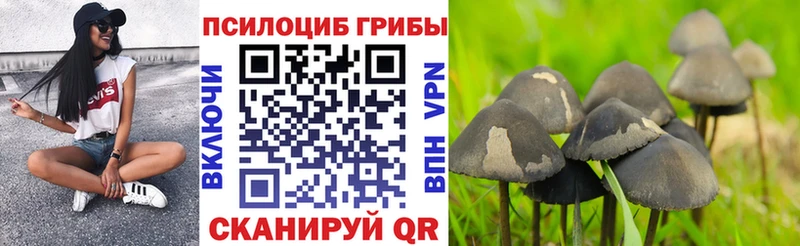 Псилоцибиновые грибы GOLDEN TEACHER дарнет шоп Находка